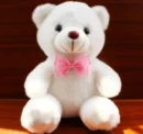 Plush Toy Bear Colorful